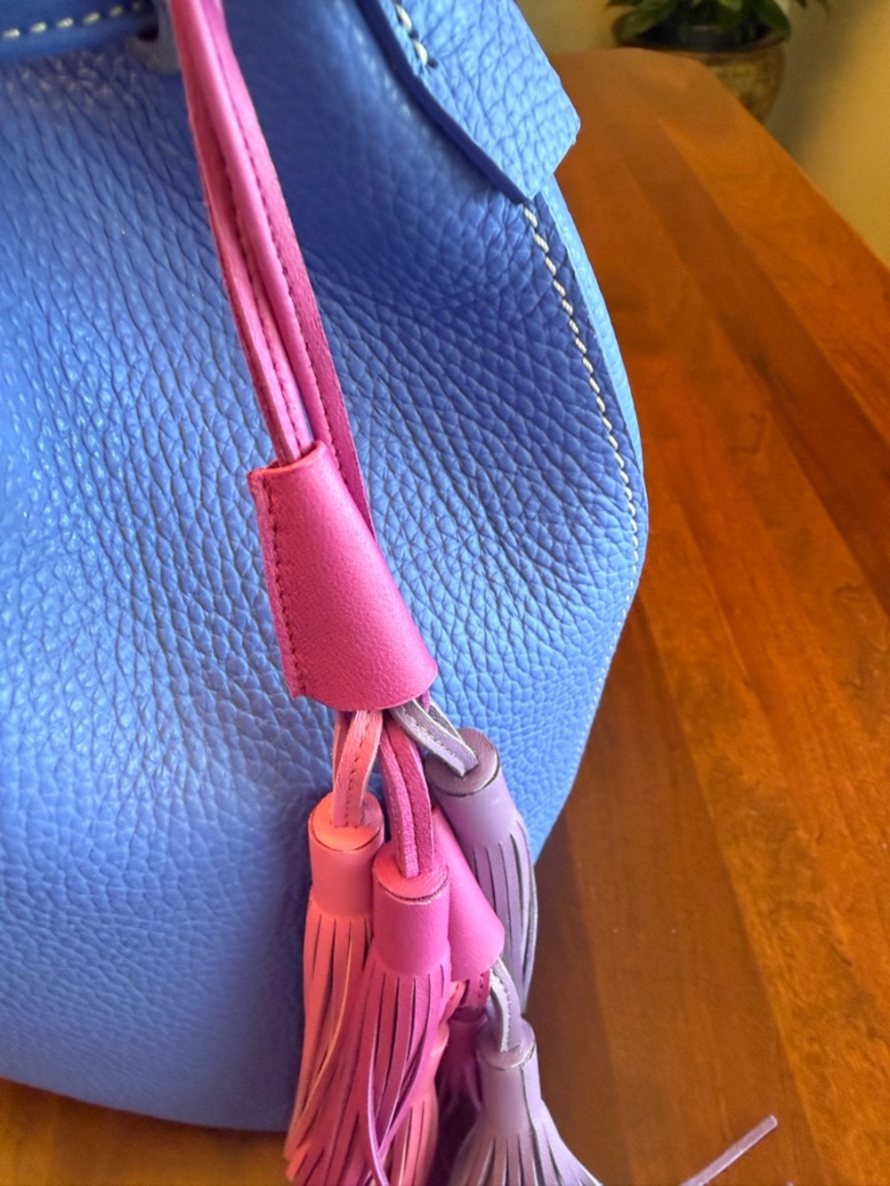 NWOT Dooney & Bourke Lucca Leather Drawstring Bag with Multi-Color Tassels - Picture 11 of 16